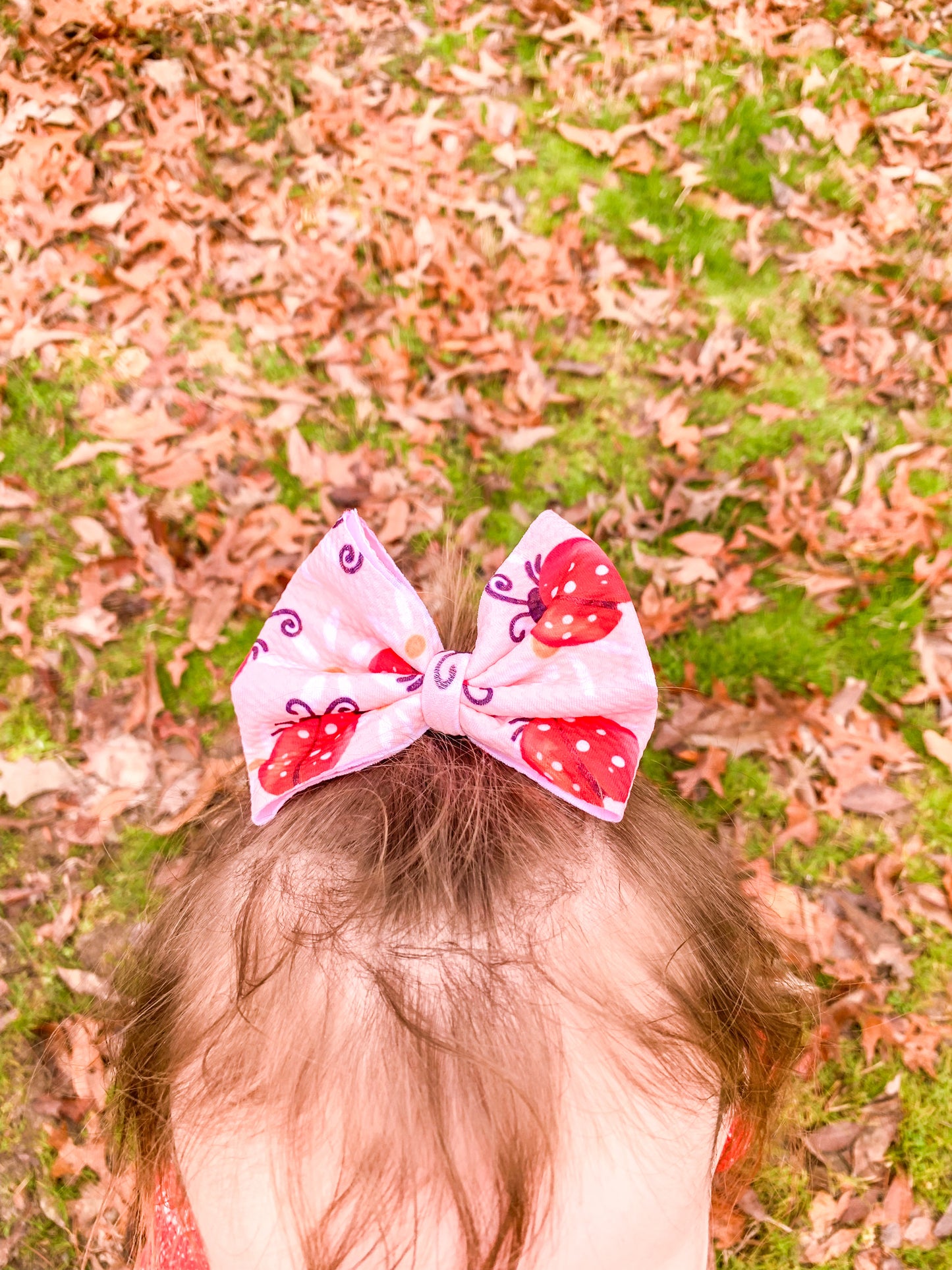 Little Lady Bug