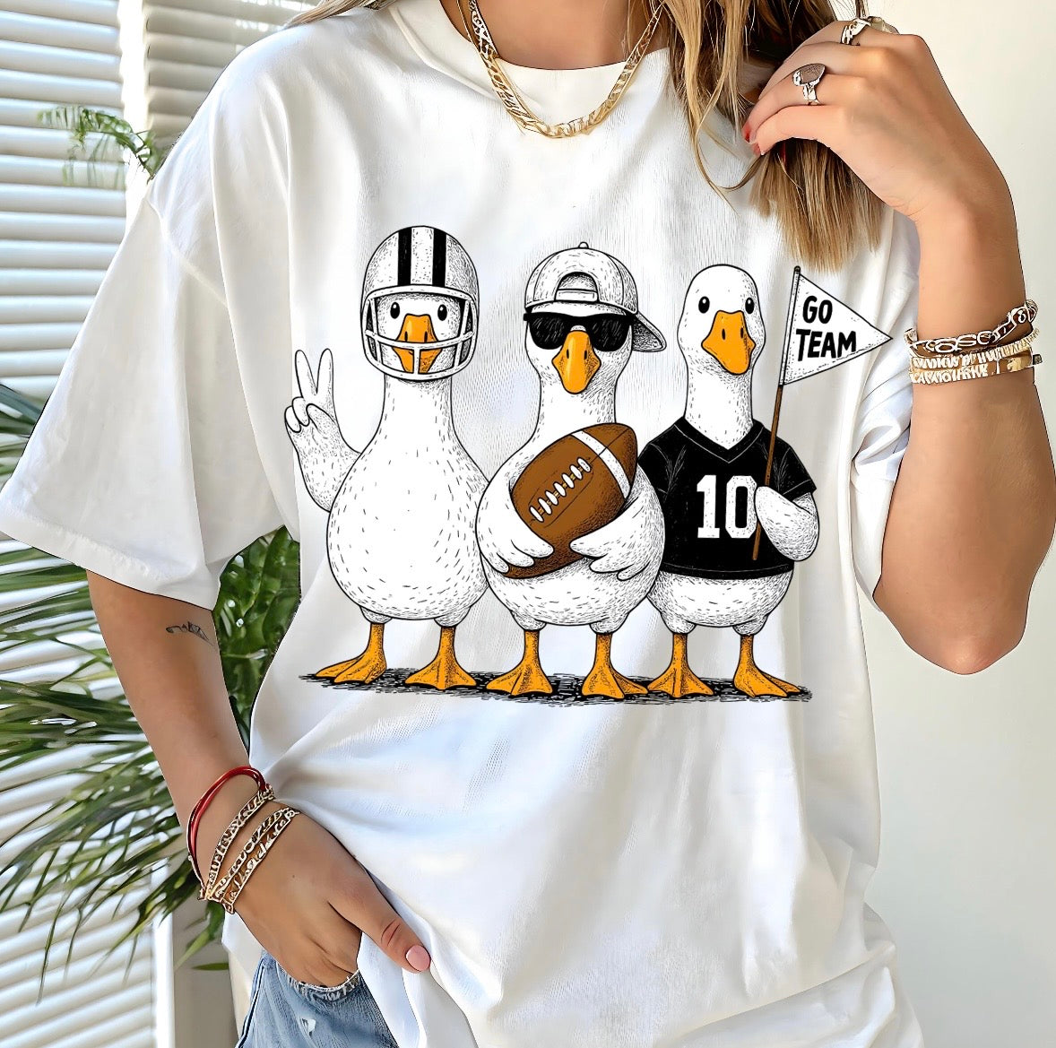 Goose Football