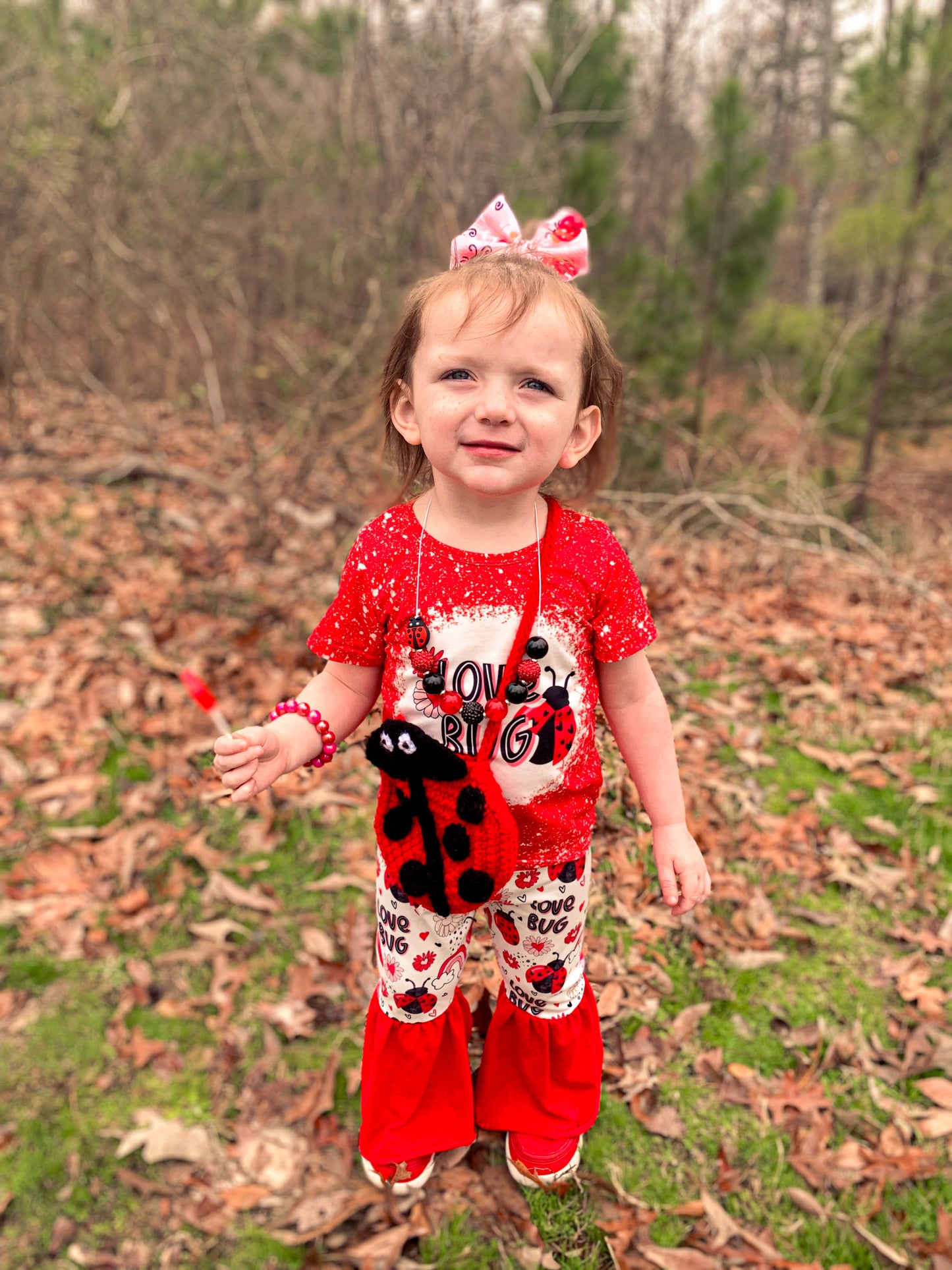 Little Lady Bug