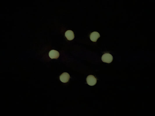 Glow In The Dark Wristlst