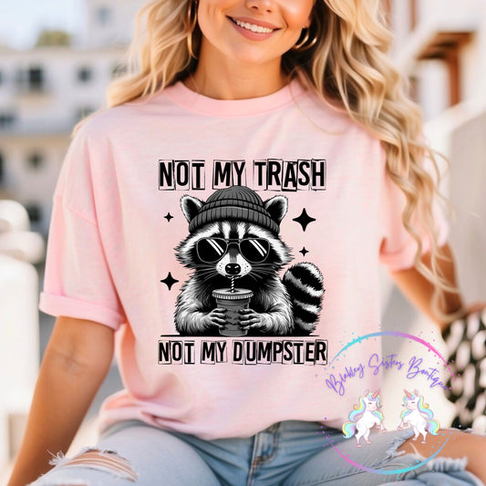 Not My Trash Not My Dumpster